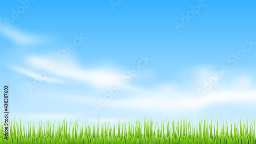 Vector green landscape. Sky, clouds and grass.