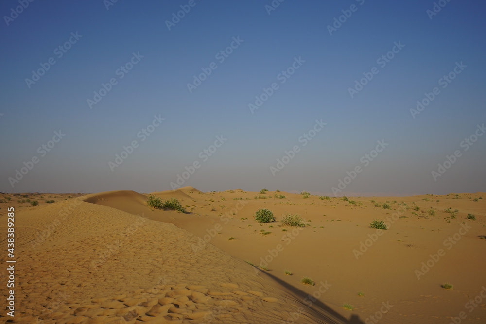 Landscape in Sharjah desert
