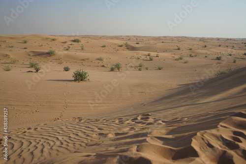Landscape in Sharjah desert
