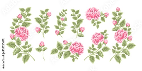 Hand drawn botanical rose flower arrangement, leaf branch vector illustrations and bouquet element collection