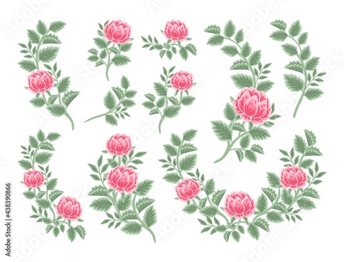 Hand drawn botanical peony flower arrangement, leaf branch vector illustrations and bouquet element collection