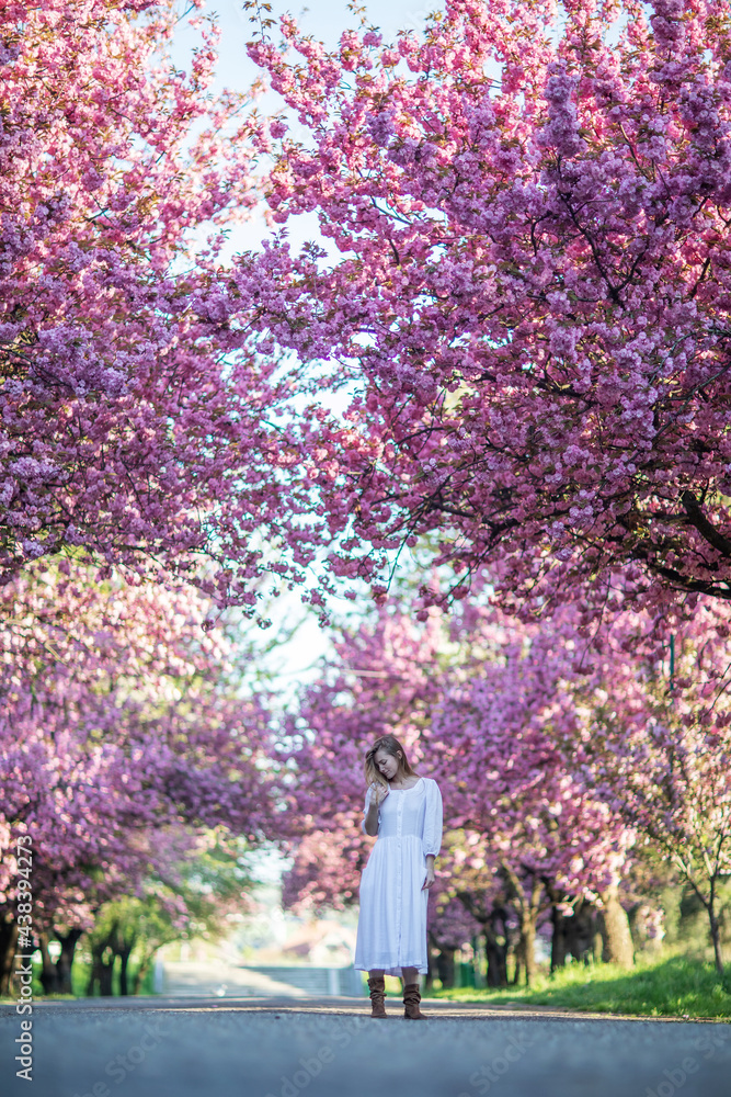 Beautiful woman in a sakura garden Beautiful woman in a sakura garden