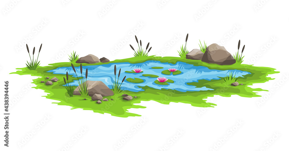 Fototapeta premium Blue water pond with reeds and stones around. Natural pond outdoor scene. Concept of open small swamp lake in natural landscape style. Graphic design for spring season