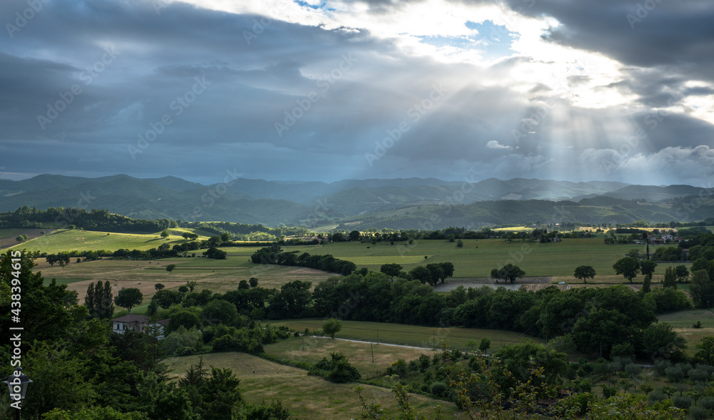 Fototapeta premium paesaggio