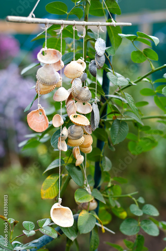 Marine decoration made of sea shells on the thread