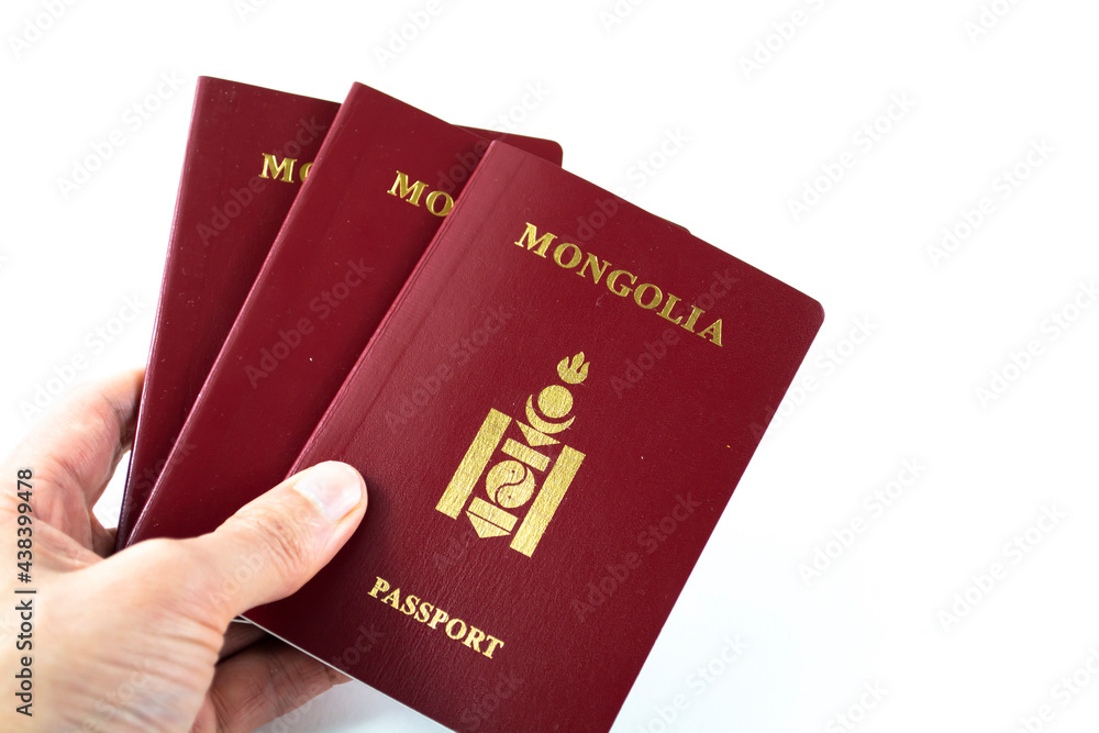 Image of a person hand holding a Mongolia passport Image of a person hand holding a Mongolia passport