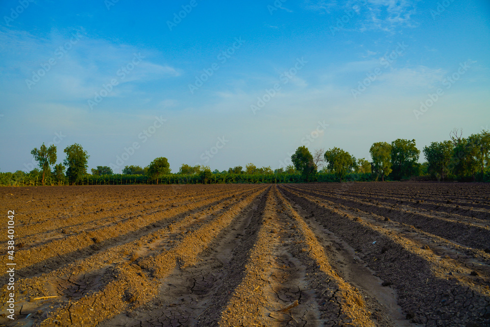 Plowed field. Agriculture, soil before sowing. Fertile land texture, rural field landscape.