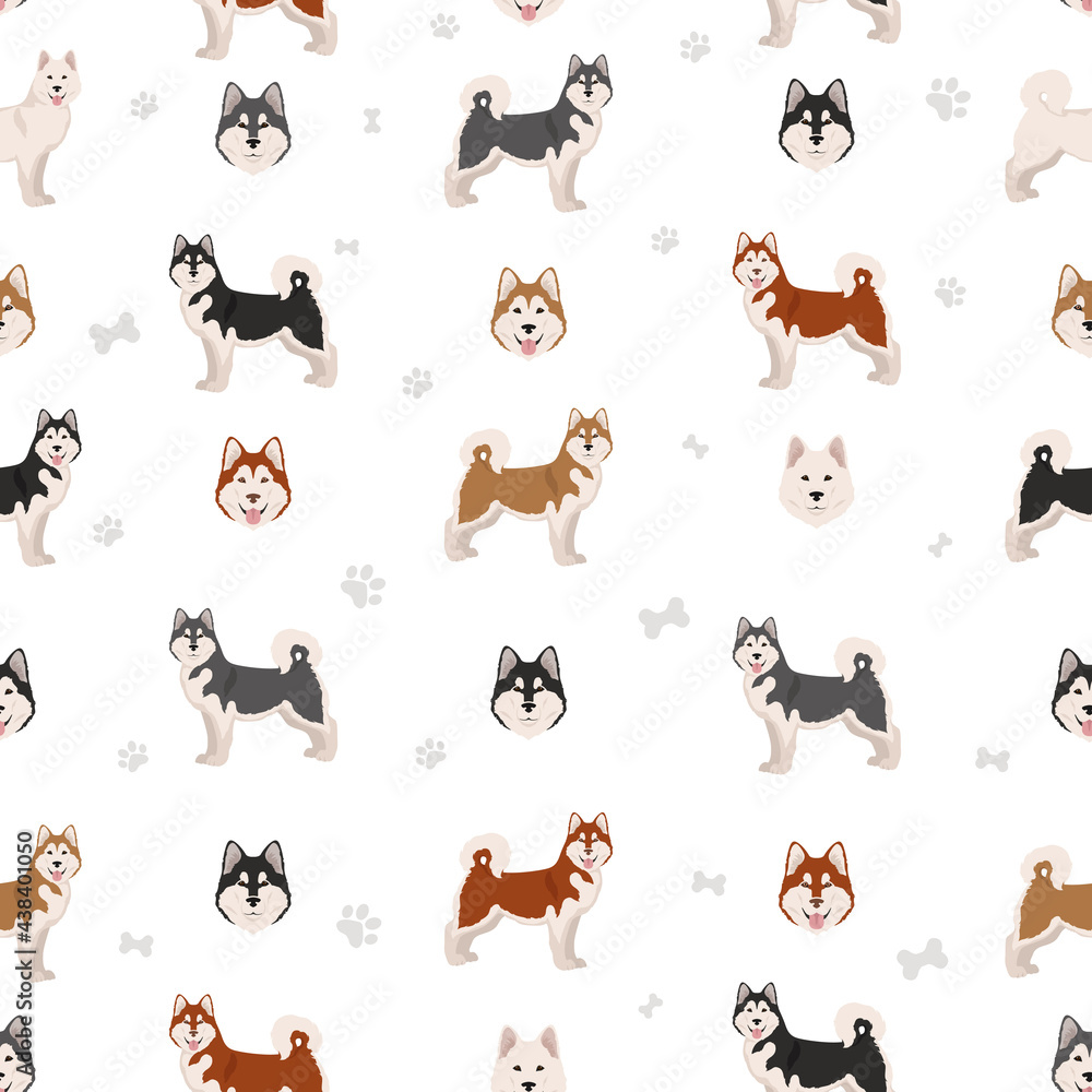 Alaskan malamute all colours seamless pattern. Different coat colors and poses set