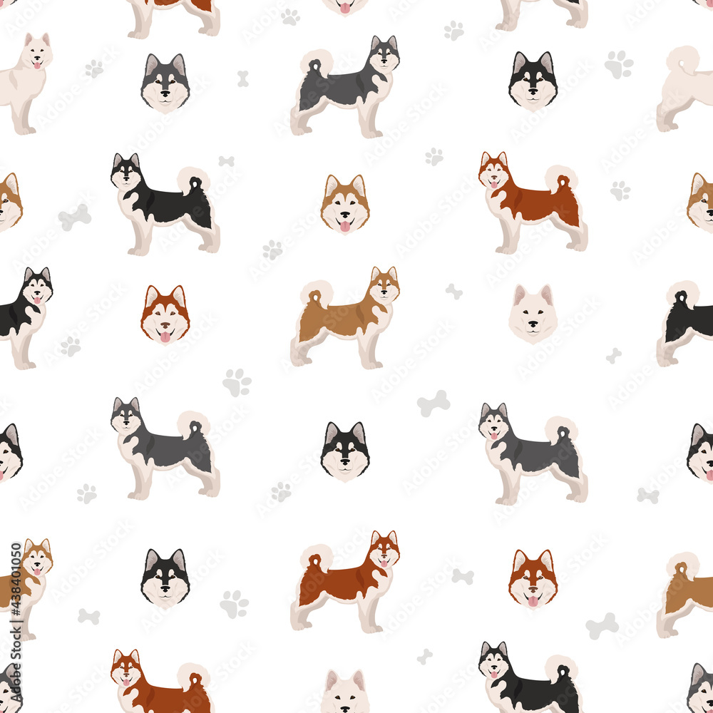 Alaskan malamute all colours seamless pattern. Different coat colors and poses set Alaskan malamute all colours seamless pattern. Different coat colors and poses set