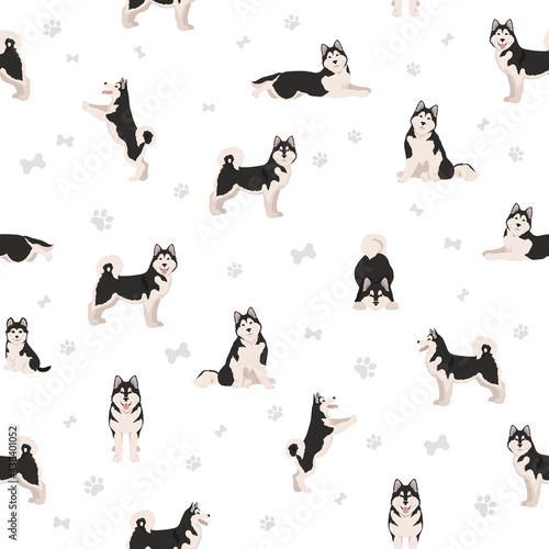 Alaskan malamute all colours seamless pattern. Different coat colors and poses set