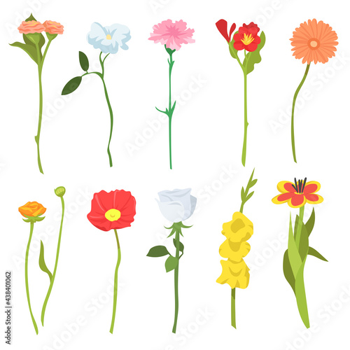 Set of cute wild field flowers. Cartoon vector illustration. Ten colorful blooming poppies, chamomiles, daisies, bells, buttercups. Flower, field, wild nature, botany concept for banner design