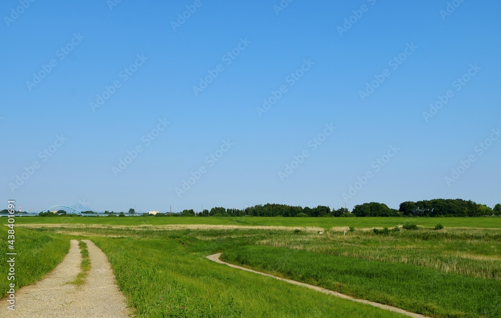 初夏 河川敷 渡良瀬 風景 初夏 河川敷 渡良瀬 風景