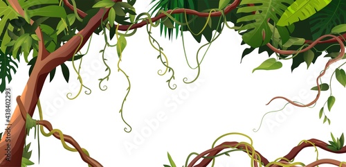 Liana or vine winding branches with tropic leaves background. Cartoon vector illustration. Jungle tropical climbing plants.