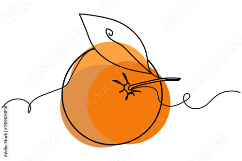 Continuous one line of surreal orange fruit. Linear stylized.Minimalist. Organic fruit concept