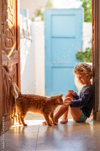 Canvas Print The boy feeds the cat at home