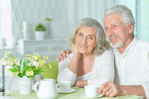 happy Senior couple drinking tea