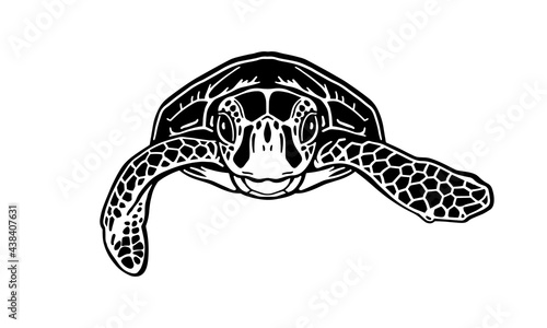 green-sea-turtle
