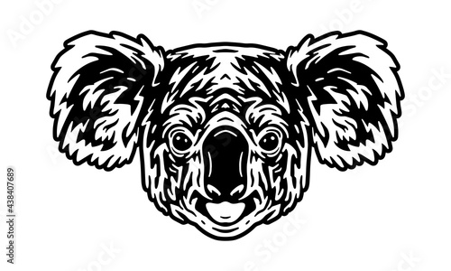 koala