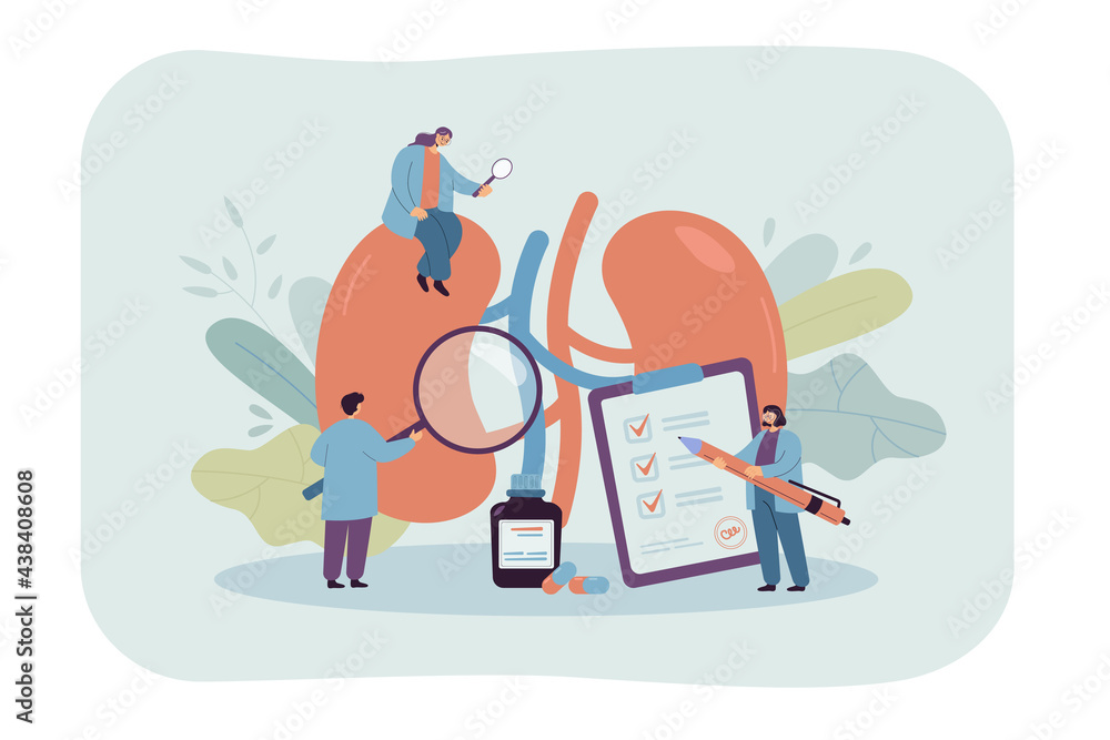 Doctors studying kidneys of donor at clinic. Medical persons checking human organ for surgery flat vector illustration. Nephrology, medicine concept for banner, website design or landing web page Doctors studying kidneys of donor at clinic. Medical persons checking human organ for surgery flat vector illustration. Nephrology, medicine concept for banner, website design or landing web page