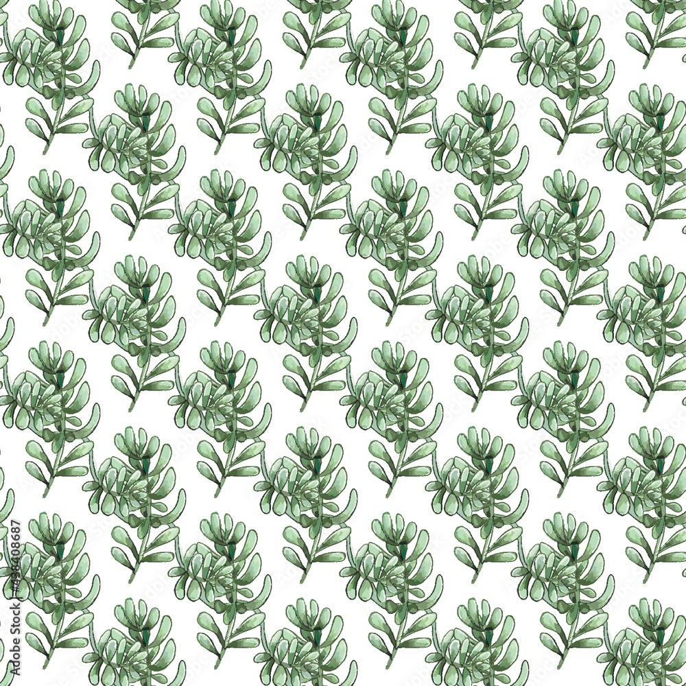 Cactus seamless pattern. Watercolor pattern of catus on white background. Green thorns Mexican succulent. Exotic cacti houseplant background Cactus seamless pattern. Watercolor pattern of catus on white background. Green thorns Mexican succulent. Exotic cacti houseplant background