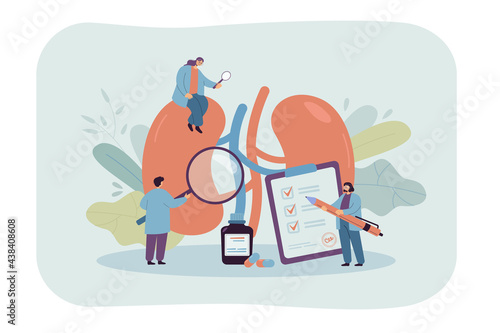 Doctors studying kidneys of donor at clinic. Medical persons checking human organ for surgery flat vector illustration. Nephrology  medicine concept for banner  website design or landing web page
