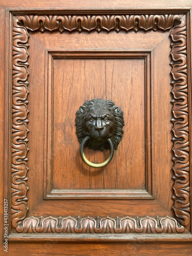 Drzwi z kołatką lwem