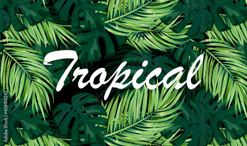 Summer tropical vector design for banner or flyer with dark green palm leaves and lettering. Vector illustration