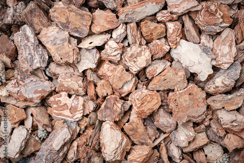 Background of pine bark nuggets layer