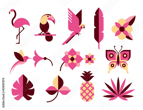 Tropical birds and flowers isolated abstract vector illustration, with flamingo, toucan, hummingbird, parrot, butterfly, flowers and leaves. Geometric style.