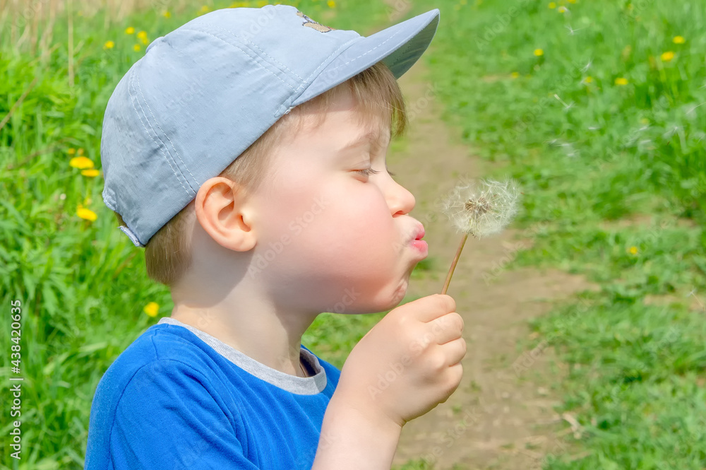 a young boy stands in a meadow and blows on a fluffy dandelion a young boy stands in a meadow and blows on a fluffy dandelion