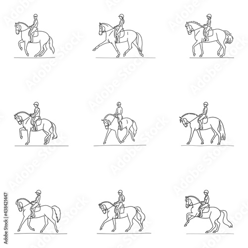 Vector illustrations of equestrian dressage