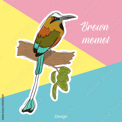 Vector illustration template for a postcard, business card, or advertising banner. Stock illustration. Tropical bird sticker on a bright background. Brown momot . photo