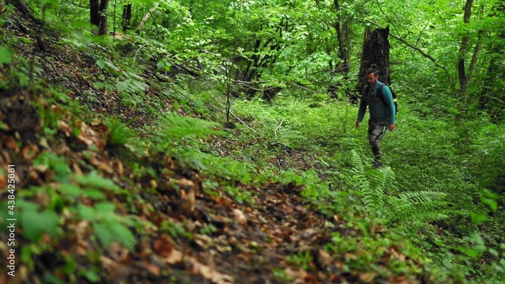 A hiker walks into the forest after rain in spring season