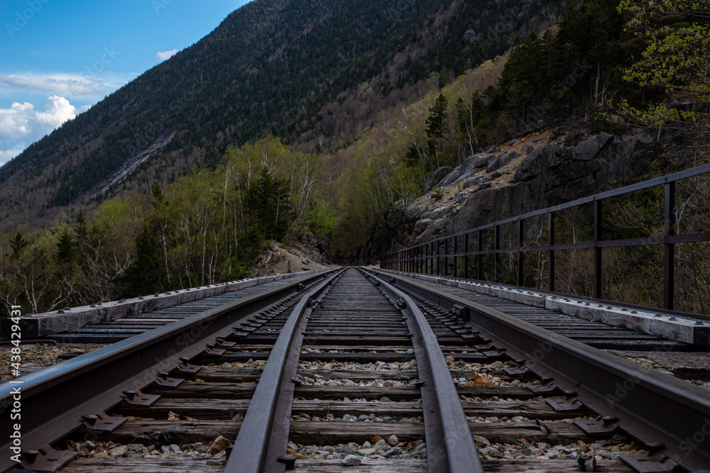 Obraz premium North Conway Scenic rail line going through Crawford Notch, New Hampshire.