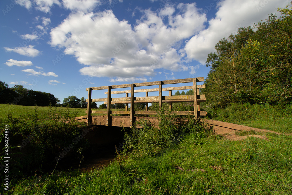 wooden bridge over a stream with wild flowers, trees and a field and clouds behind in the evening light