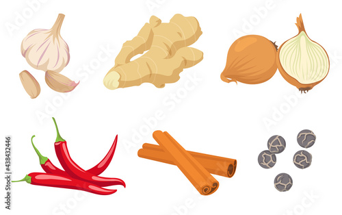 Collection of spicy spices and vegetables. Garlic, onion, chili, dried peppercorns, allspice, pimento, ginger, cinnamon isolated on white background. Food concept for advertisement design