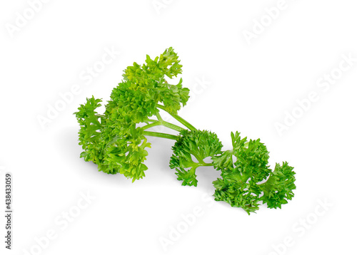 green leaves of pasley isolated on white background