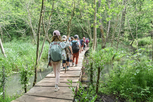 Картината върху платно enfant detente excursion scolaire bois passerelle ruisseau nature Belgique Wallo