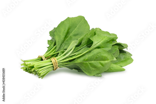 bunch of fresh green spinach isolated on white background