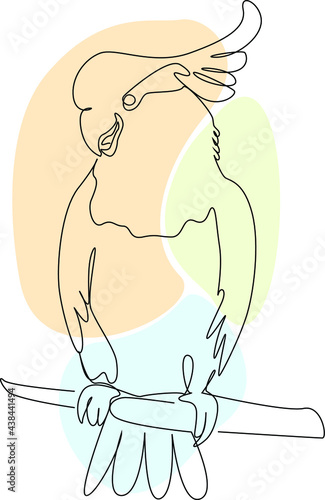 A parrot with a tuft on a branch. Linart vector illustration. Bird abstract drawing