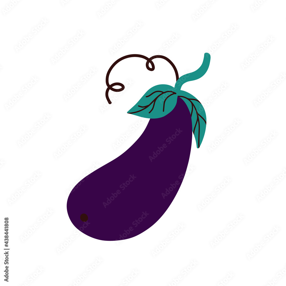 vegetable aubergine on a white background.Eggplant vector illustration vegetable aubergine on a white background.Eggplant vector illustration