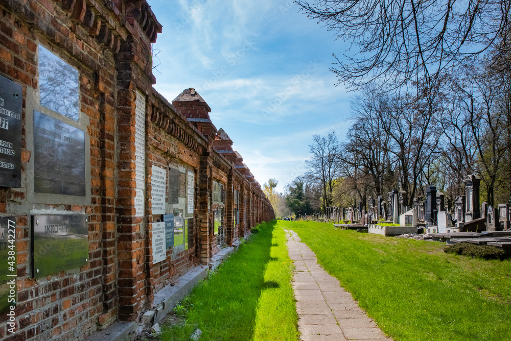 Stary cmentarz żydowski w Łodzi