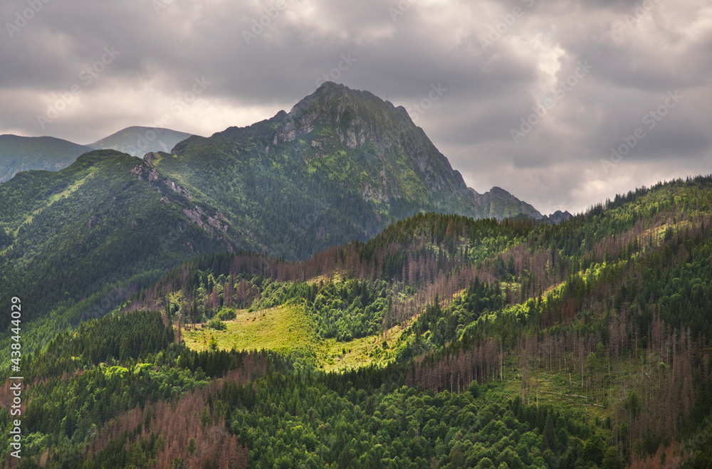 Giewont mountains near Zakopane. Poland