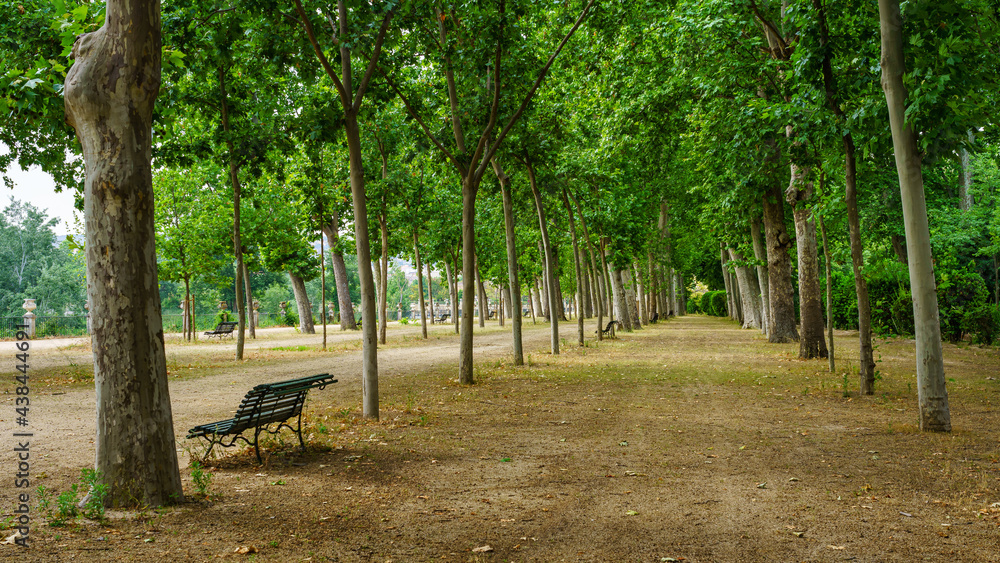 Nice walk through the public park with large trees and benches to rest. Aranjuez.