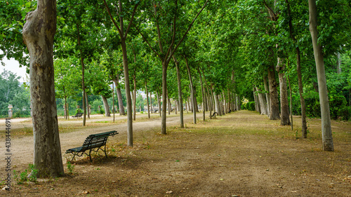 Nice walk through the public park with large trees and benches to rest. Aranjuez.