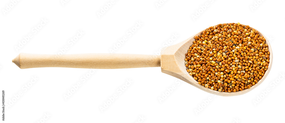 spoon with unhulled proso millet grains isolated spoon with unhulled proso millet grains isolated