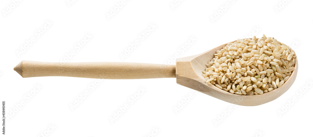 spoon with unpolished brown rice grains isolated spoon with unpolished brown rice grains isolated