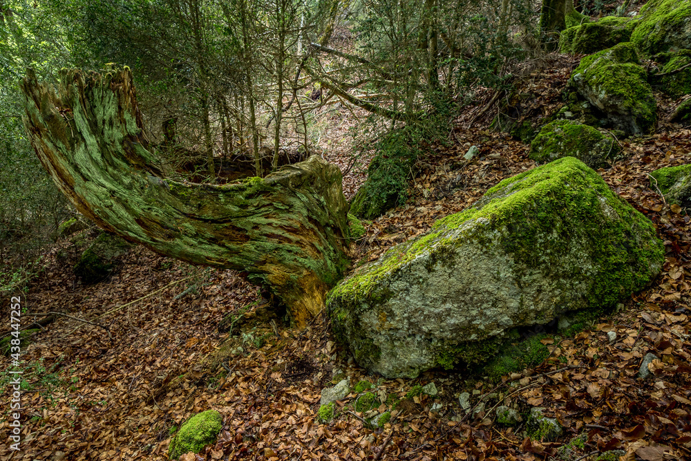 Millstone from the Middle Ages abandoned near a stone quarry in the mountains Millstone from the Middle Ages abandoned near a stone quarry in the mountains