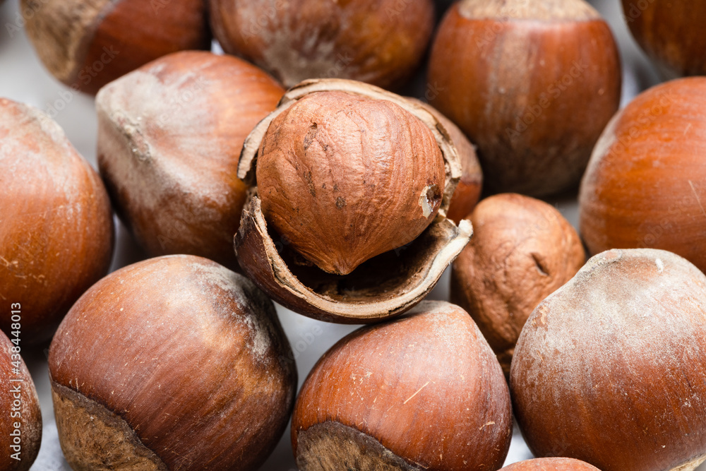 background - many ripe whole and shelled hazelnuts background - many ripe whole and shelled hazelnuts