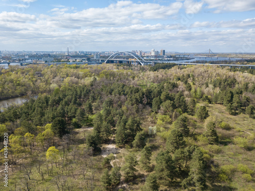 Forest in the city. Aerial drone view.